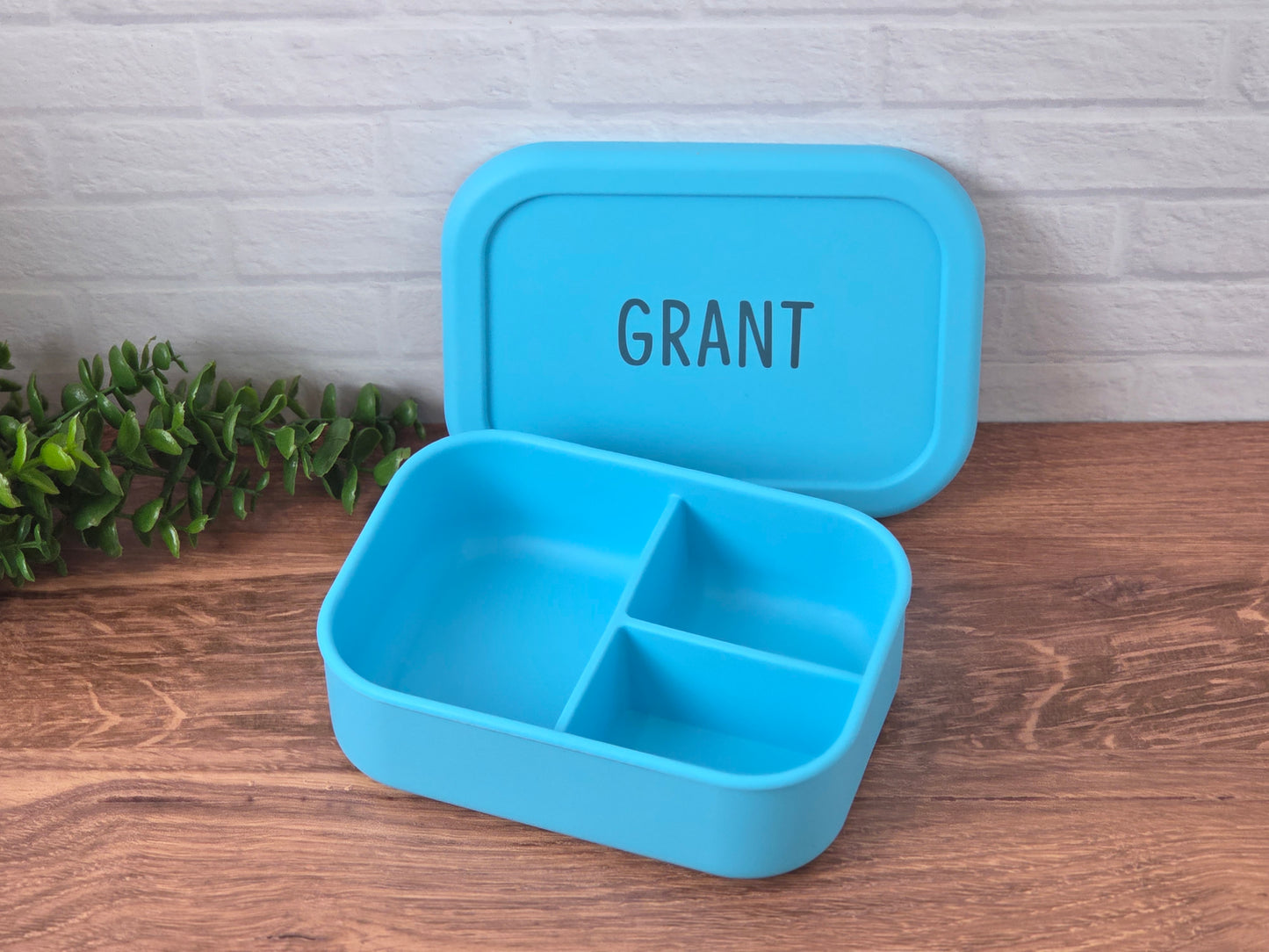 SIlicone Bento Style Lunch Box w/Lid